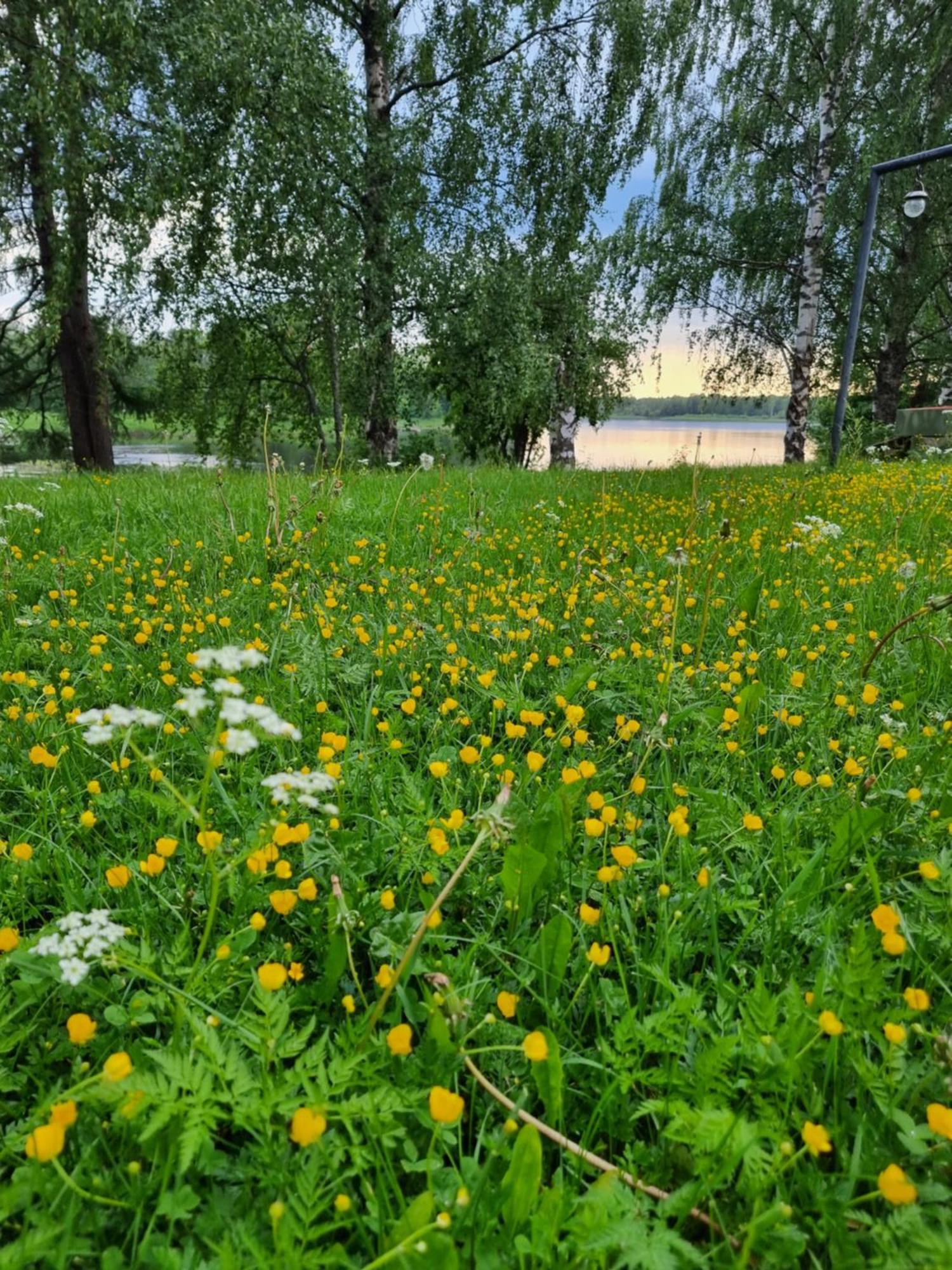Апартаменти Wanha Kunnantalo Пудас'ярві Екстер'єр фото